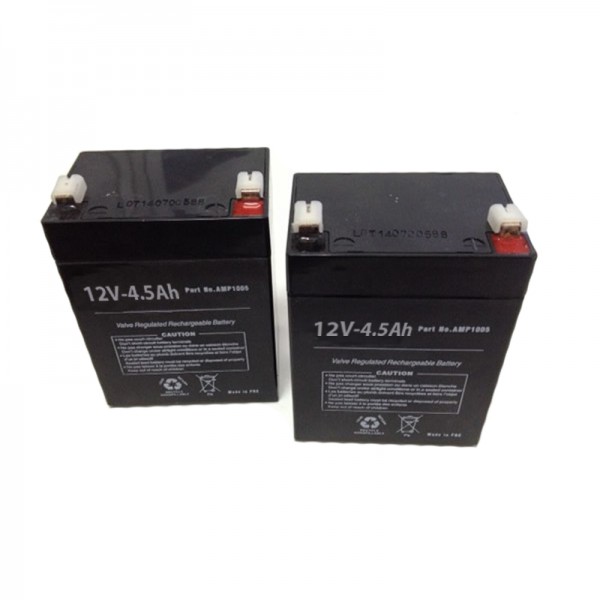Baterías Grúa Eléctrica AGM 12V 4,5 Ah par Baterías Grúa Eléctrica AGM 12V 4,5 Ah par