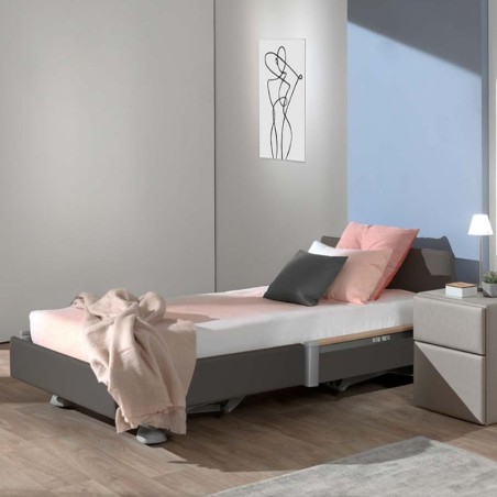Cama Hospitalaria para el Hogar Lago Care