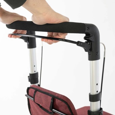 Andador para la Compra Carlett Lett Go