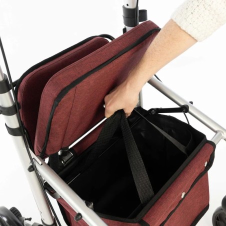 Andador para la Compra Carlett Lett Go