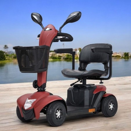 Scooter Eléctrico Magnus Para Movilidad Reducida