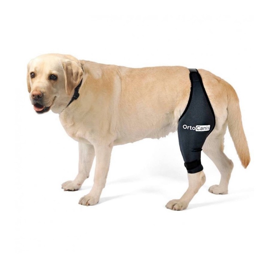 Protector de Rodilla para Perros - Artrosis o Lesión de Ligamentos Cruzados