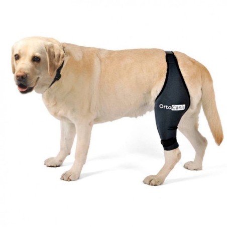 Protector de Rodilla para Perros - Artrosis o Lesión de Ligamentos Cruzados