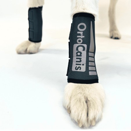 Muñequera para Perros
