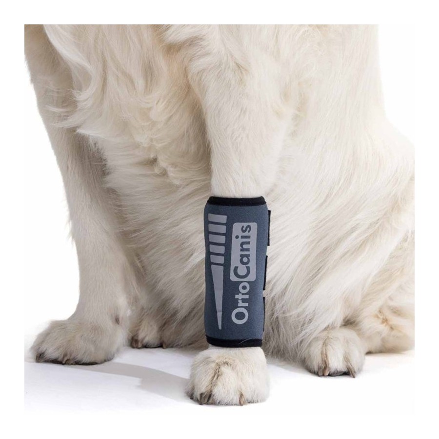 Muñequera para Perros