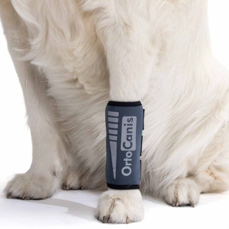 Muñequera para Perros