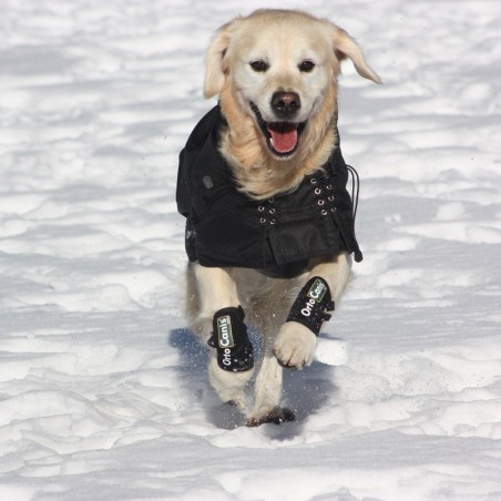 Muñequera para Perros