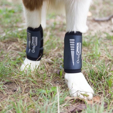 Muñequera para Perros