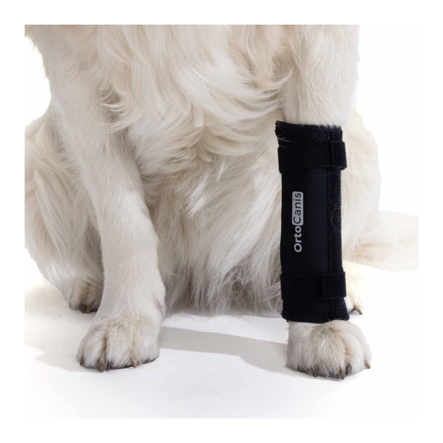 Soporte de Carpo para Perros