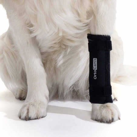 Soporte de Carpo para Perros