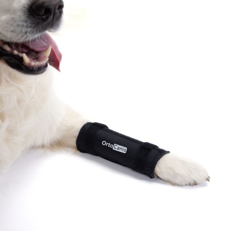 Soporte de Carpo para Perros