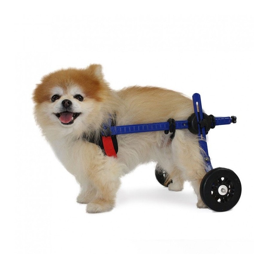 Silla de Ruedas para Perros