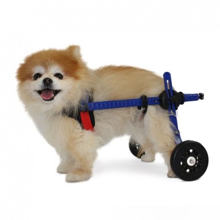 Silla de Ruedas para Perros