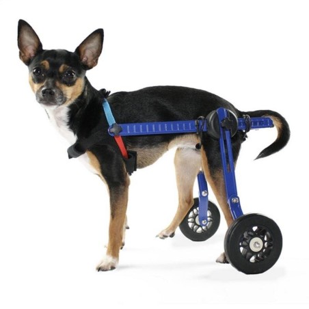 Silla de Ruedas para Perros