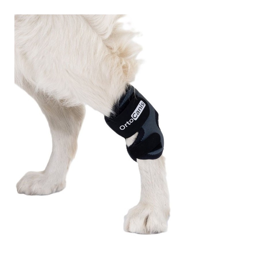 Soporte de Tarso para Perros