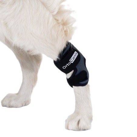 Soporte de Tarso para Perros