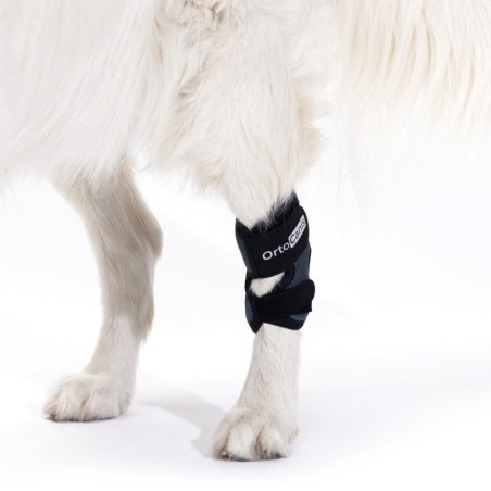 Soporte de Tarso para Perros