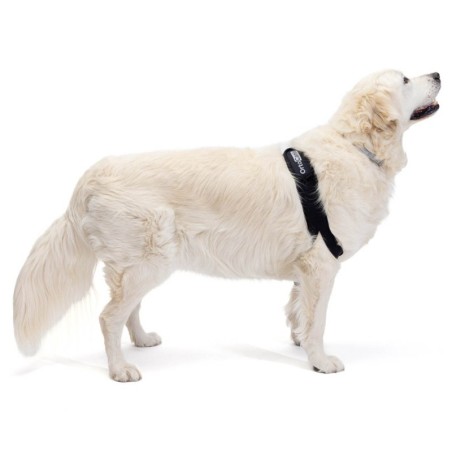 Protector de Codo para Perros