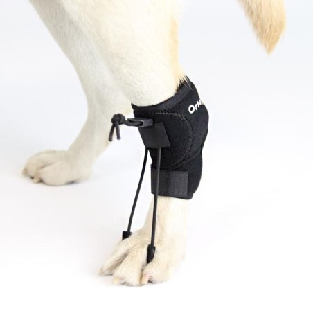 Corrector Propioceptivo para Perros