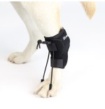 Corrector Propioceptivo para Perros