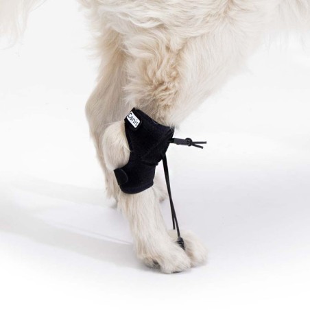 Corrector Propioceptivo para Perros