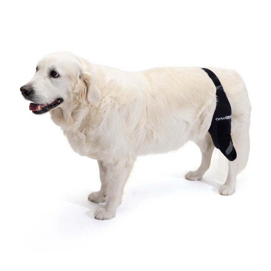 Inmovilizador de Rodilla para Perros