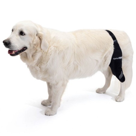 Inmovilizador de Rodilla para Perros