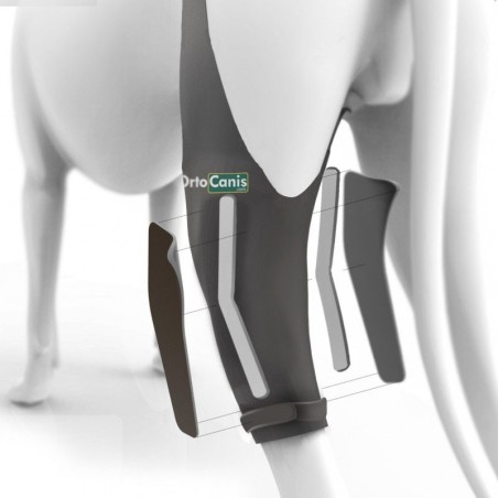 Inmovilizador de Rodilla para Perros