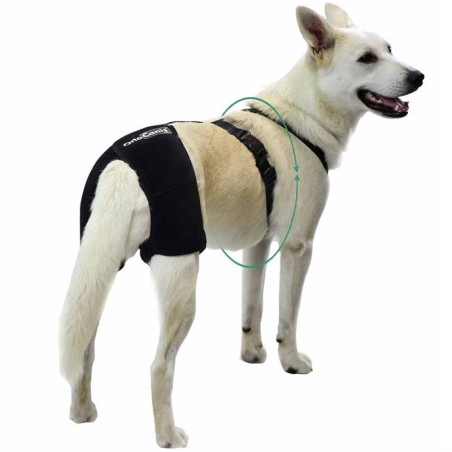 Soporte de Cadera para Perros
