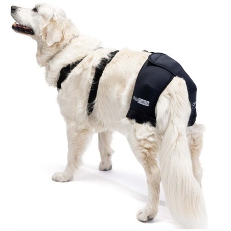 Soporte de Cadera para Perros