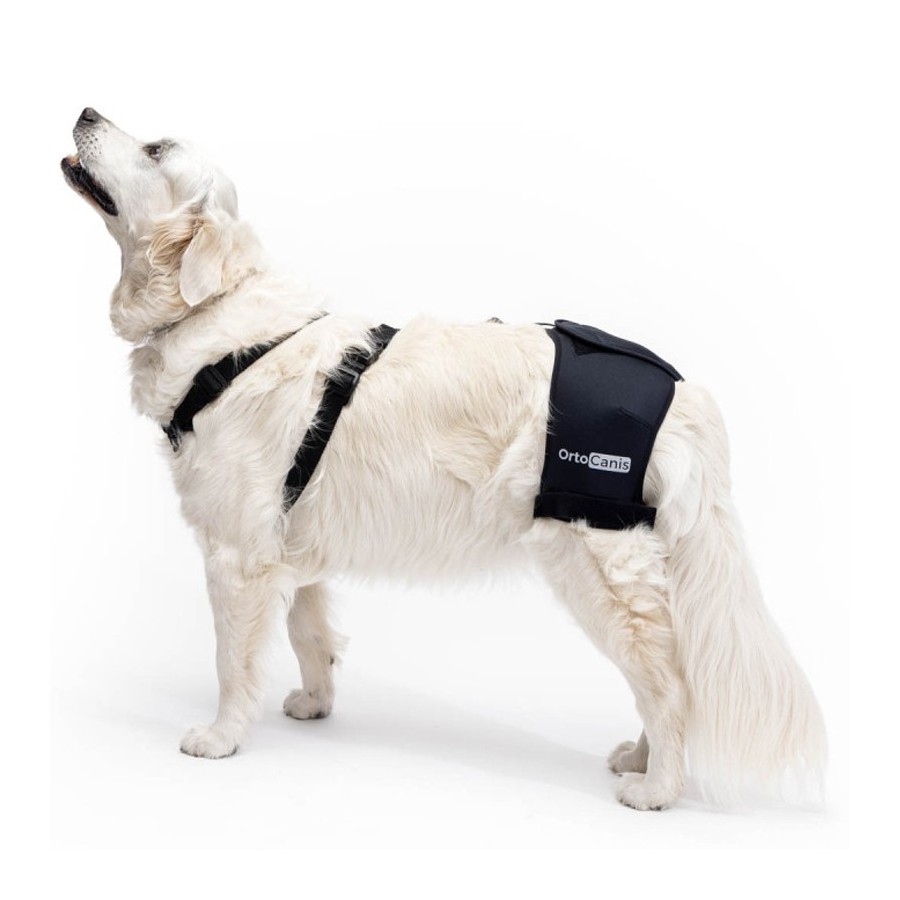 Soporte de Cadera para Perros