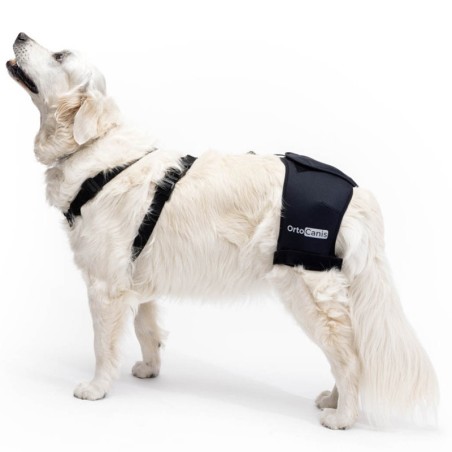 Soporte de Cadera para Perros