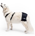 Soporte de Cadera para Perros