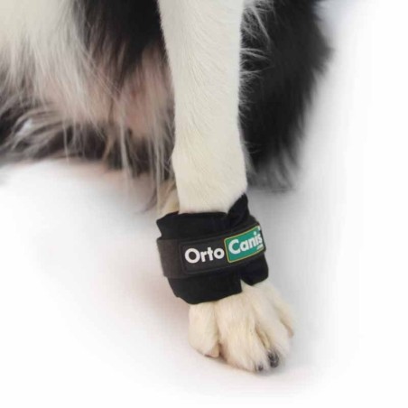 Pesas para Fortalecer la Musculatura en Perros