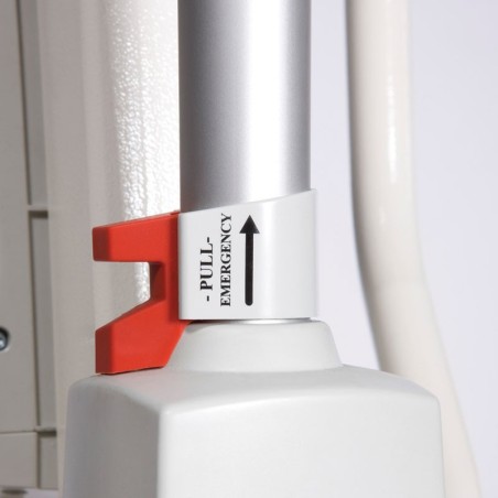 Grúa Eléctrica Eagle