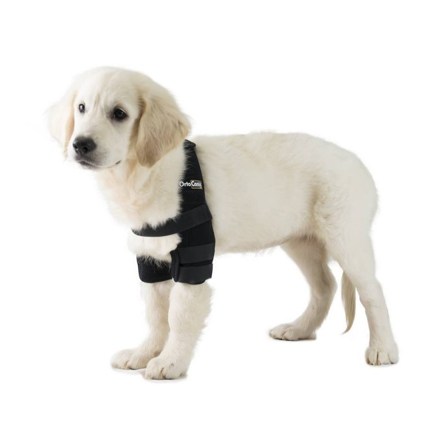 Órtesis de Codo para Perros