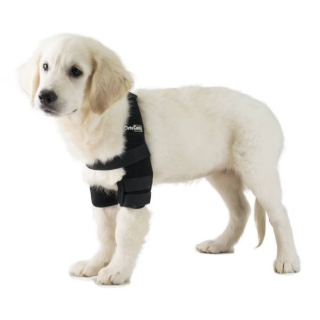 Órtesis de Codo para Perros