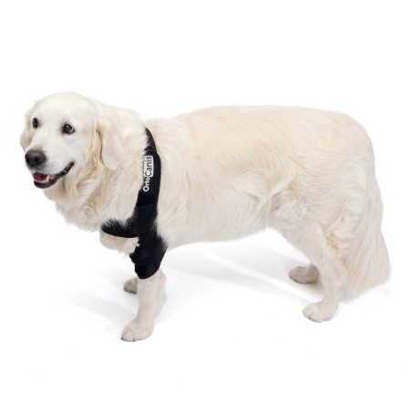 Órtesis de Codo para Perros