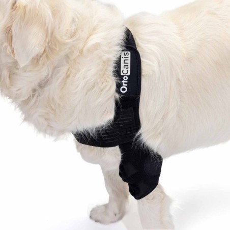Órtesis de Codo para Perros