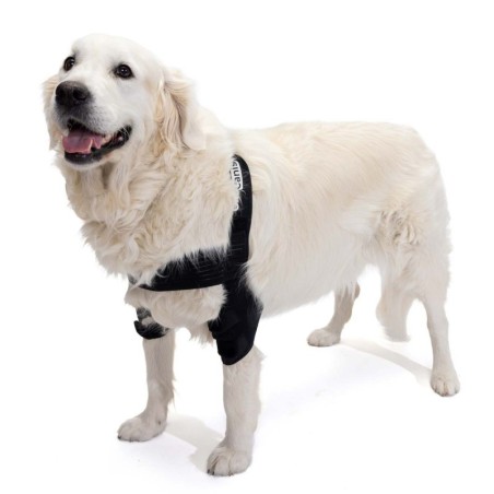 Órtesis de Codo para Perros