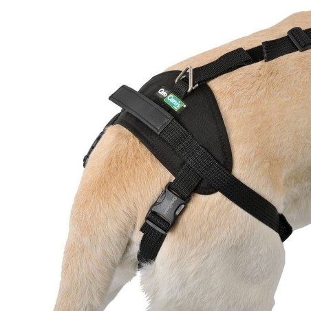 Arnés Integral de Rehabilitación para Perros