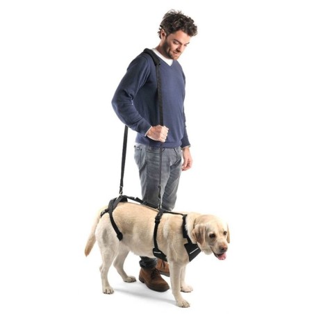 Arnés Integral de Rehabilitación para Perros