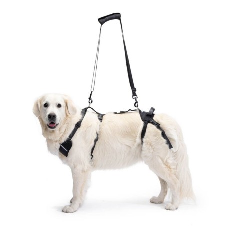 Arnés Integral de Rehabilitación para Perros