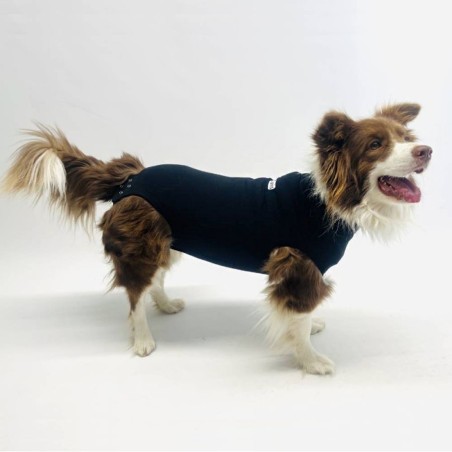 Body Postoperatorio para Perros
