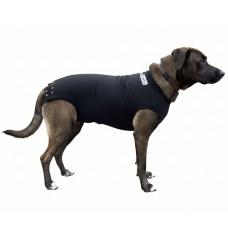 Body Postoperatorio para Perros