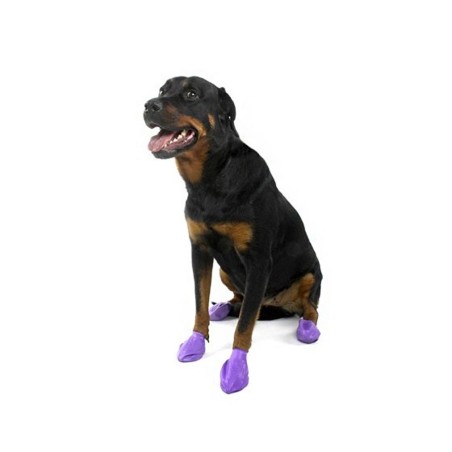 Botas para Perros de Caucho Pawz