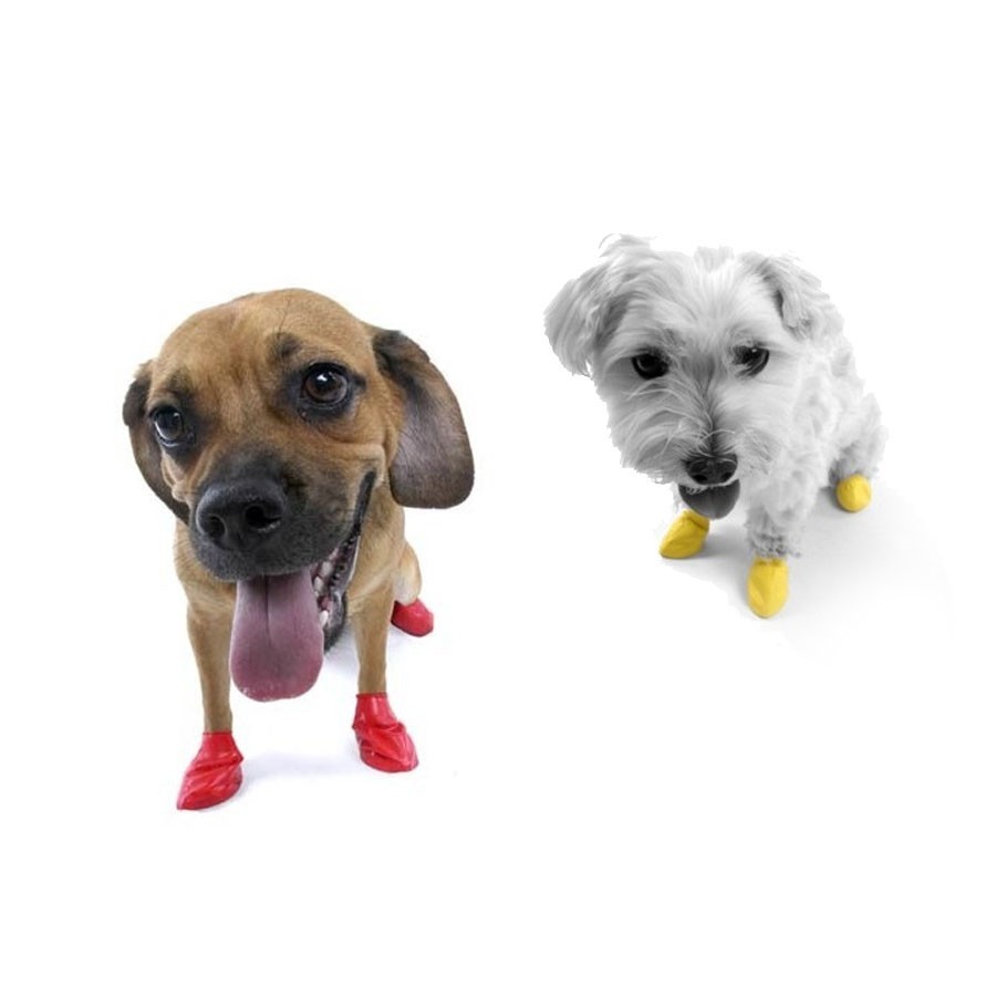 Botas para Perros de Caucho Pawz