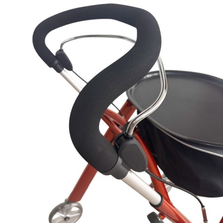 Andador Trustcare Let's Dream