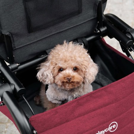 Andador con Cesta y Bolso R08 Playcare