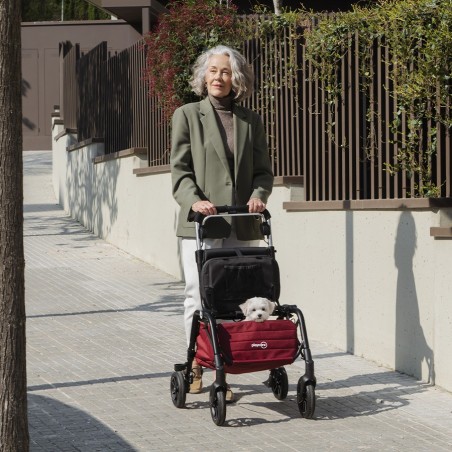 Andador con Cesta y Bolso R08 Playcare